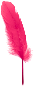 Tickled Pink feather